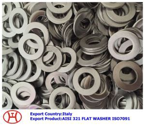 এআইএসআই {{0} L ফ্ল্যাশ ওয়াশার আইএসও {{1}