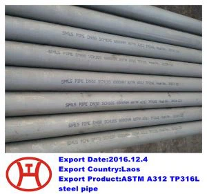 ASTM A312 TP316L বিজোড় ইস্পাত পাইপ