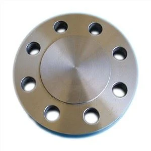 Monel 400 ফ্ল্যাঞ্জ